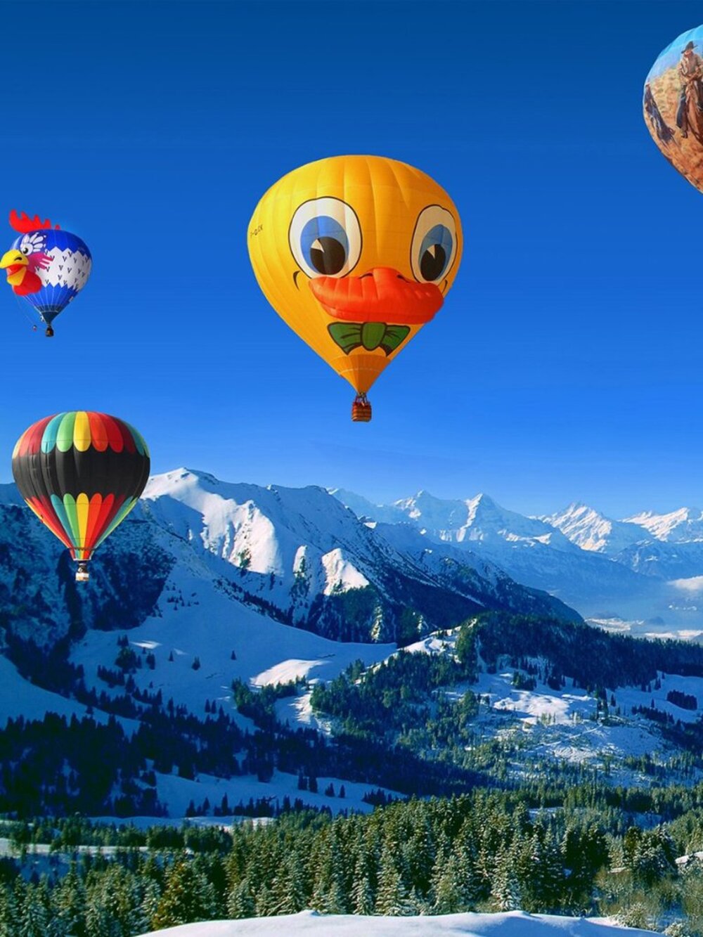 Meet your Posher, Hampshire Home